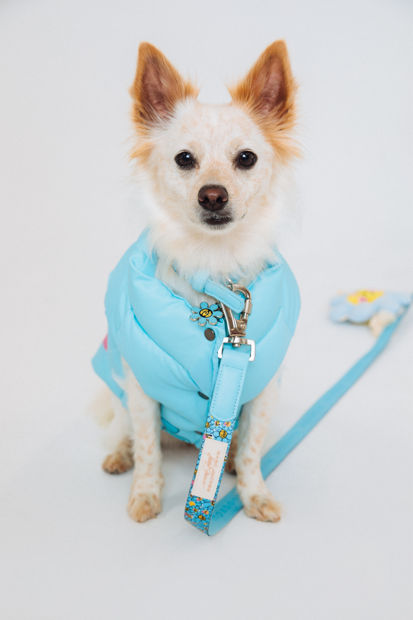 maxbone - Marc Jacobs x Hattie Stewart Puffer Dog Vest