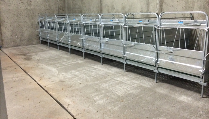 Calf Pens