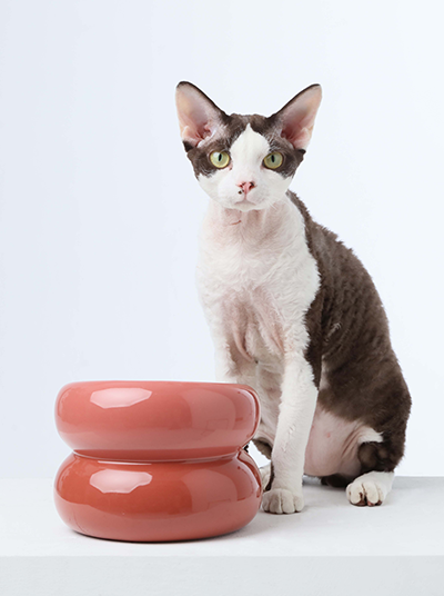 PEHOM - Soufflé Pet Bowl - Rose Pink
