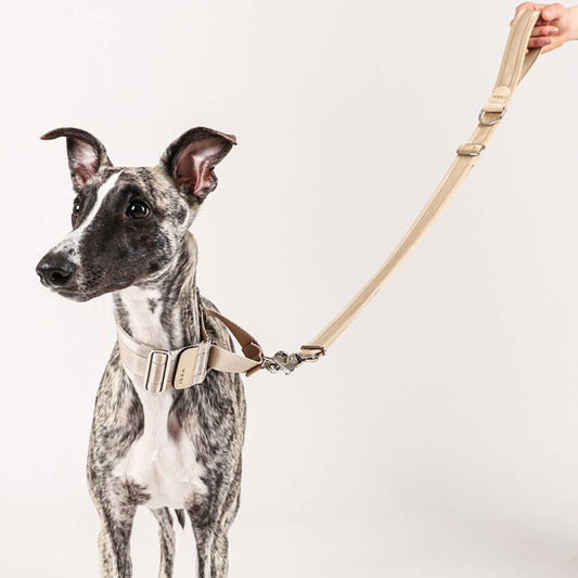 Hozi - Half Leash : Beige