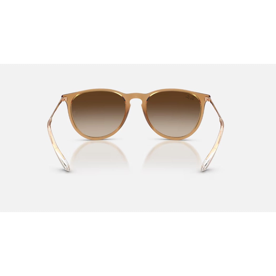 RAYBAN - ERIKA | Polished Rubber Beige w/ Gradient Brown