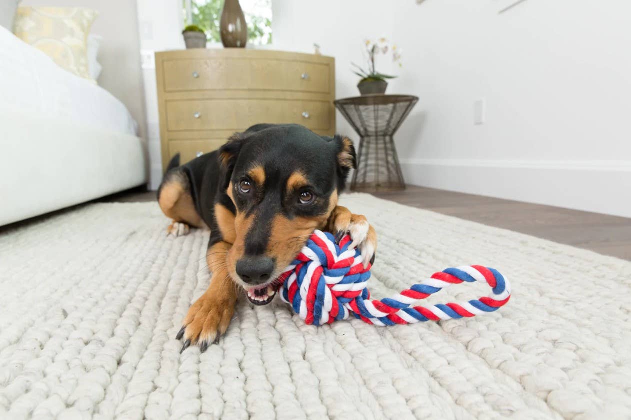 Jax & Bones Knot Rope Dog Toy Red, White and Blue Small 3"