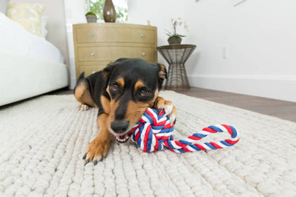 Jax & Bones Knot Rope Dog Toy Red, White and Blue Large 6"