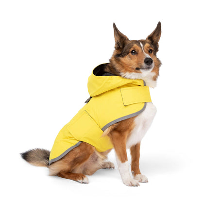 Nandog Pet Gear - Rain Coat Nandog Sport Collection: M
