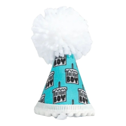 Pup Party Hats - Birthday Boy Black Ink Party Hat