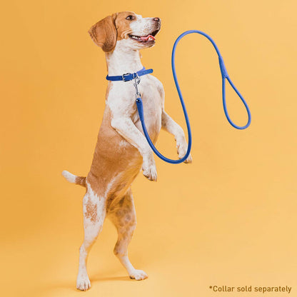 Dogline - Soft Leather Round Lead