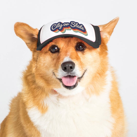 PupLid - Custom Retro Text | Trucker Hat for Dogs