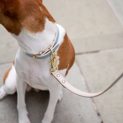 Nina Woof - Leash 4ft - Vegan Leather - Cupertino