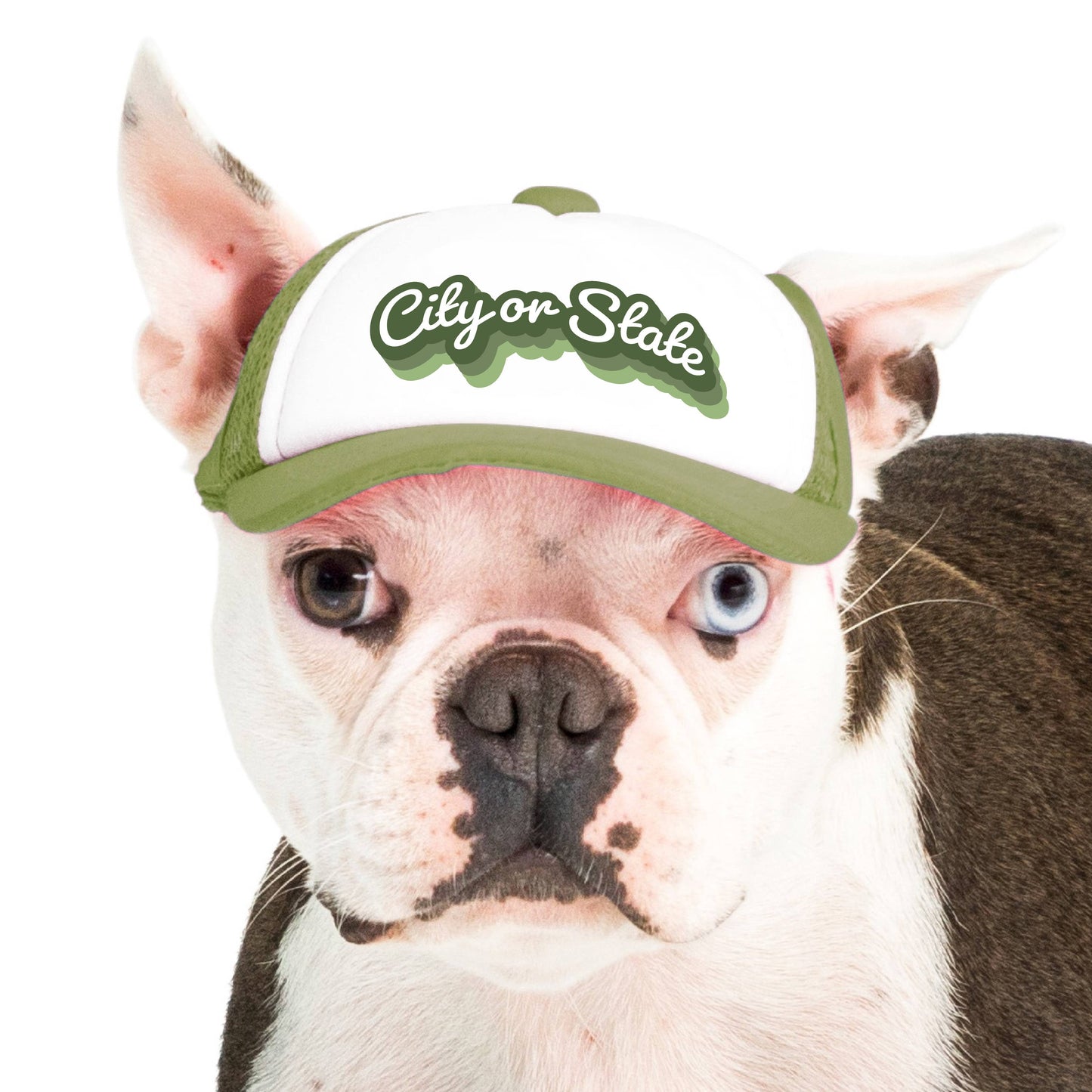 PupLid - Custom Retro Text | Trucker Hat for Dogs
