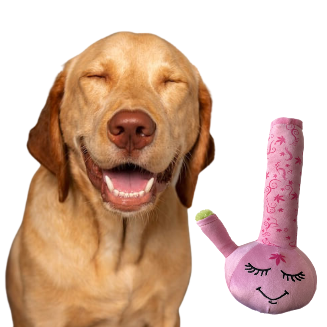 PAW:20 - Harmony Bong 420 Dog Toy 🐶 Marijuana, Weed, Cannabis Themed