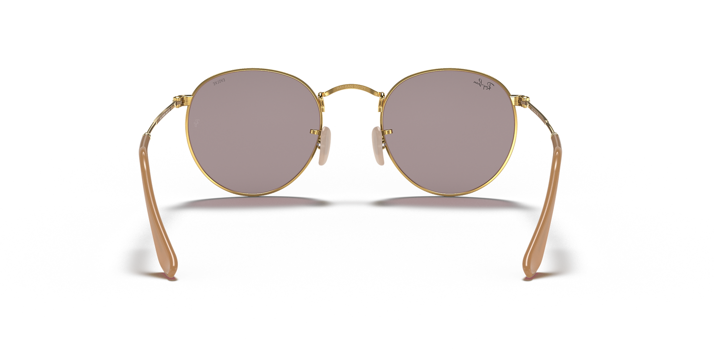 RAYBAN - ROUND METAL | Arista w/ Photochromic Evolve Grey
