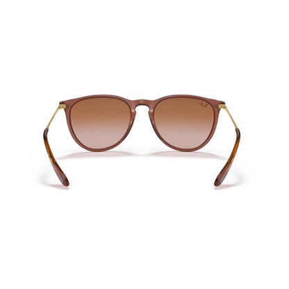RAYBAN - ERIKA | Transparent Light Brown w/ Brown