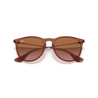 RAYBAN - ERIKA | Transparent Light Brown w/ Brown