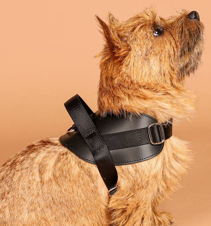 Hozi - Saddle Harness - Black