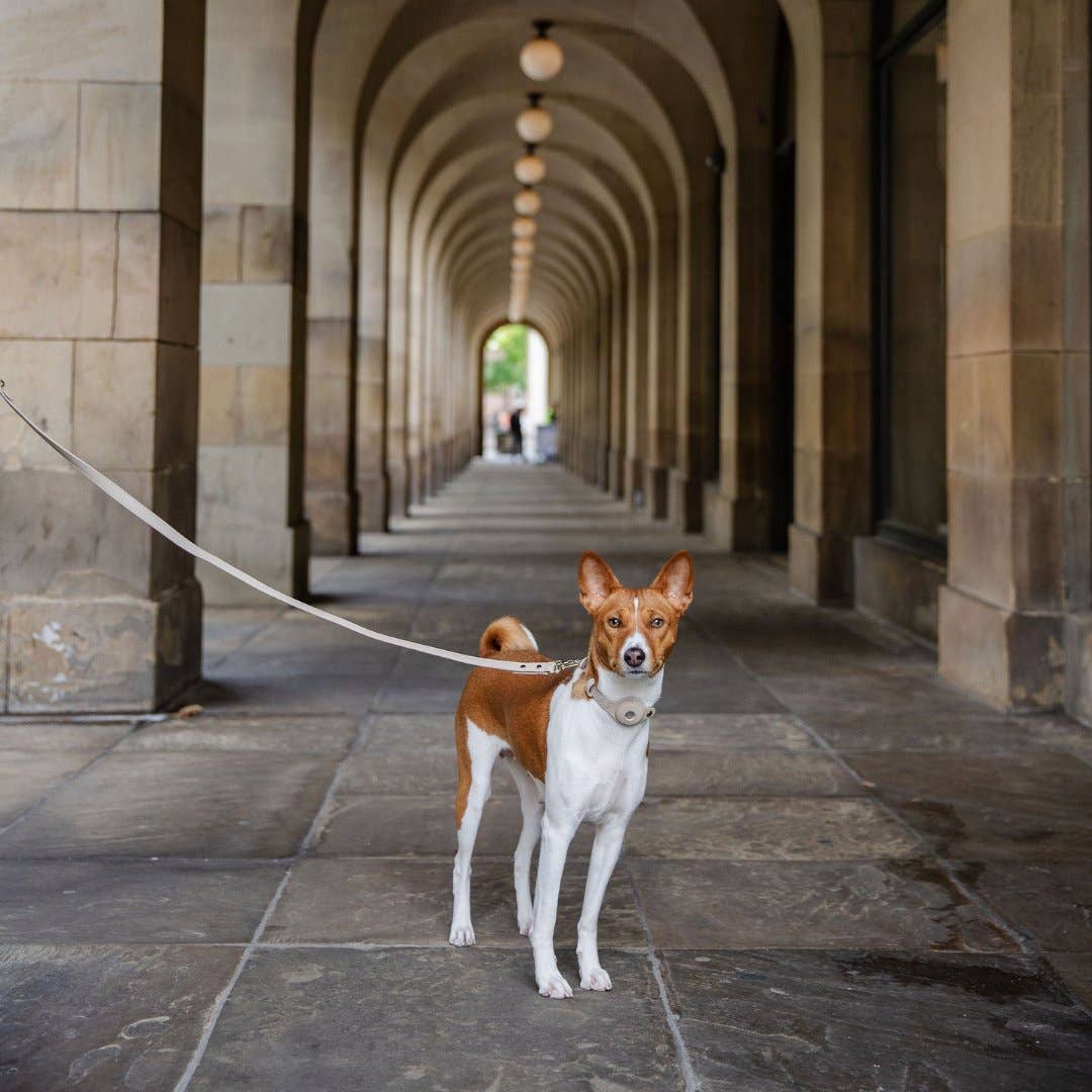 Nina Woof - Leash 4ft - Vegan Leather - Cupertino