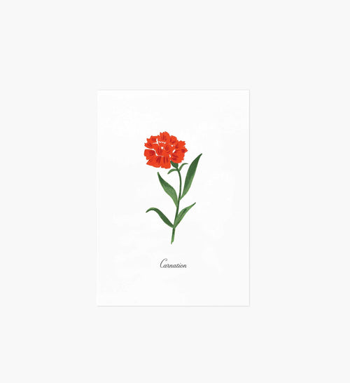 Birth Month Art Print - January