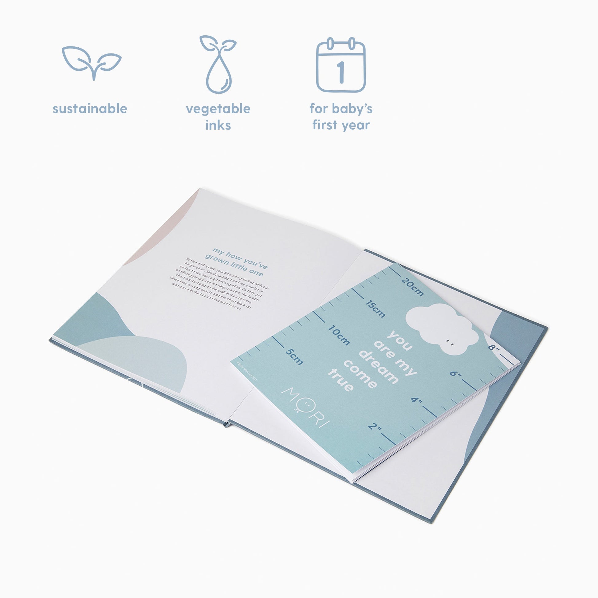 Hello Baby Book - Mint
