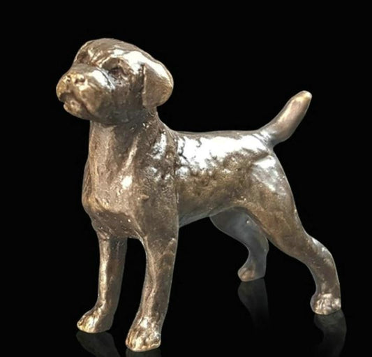 Butler & Peach Border Terrier
