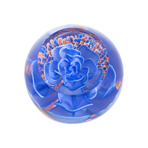 Caithness Delight Blue Paperweight
