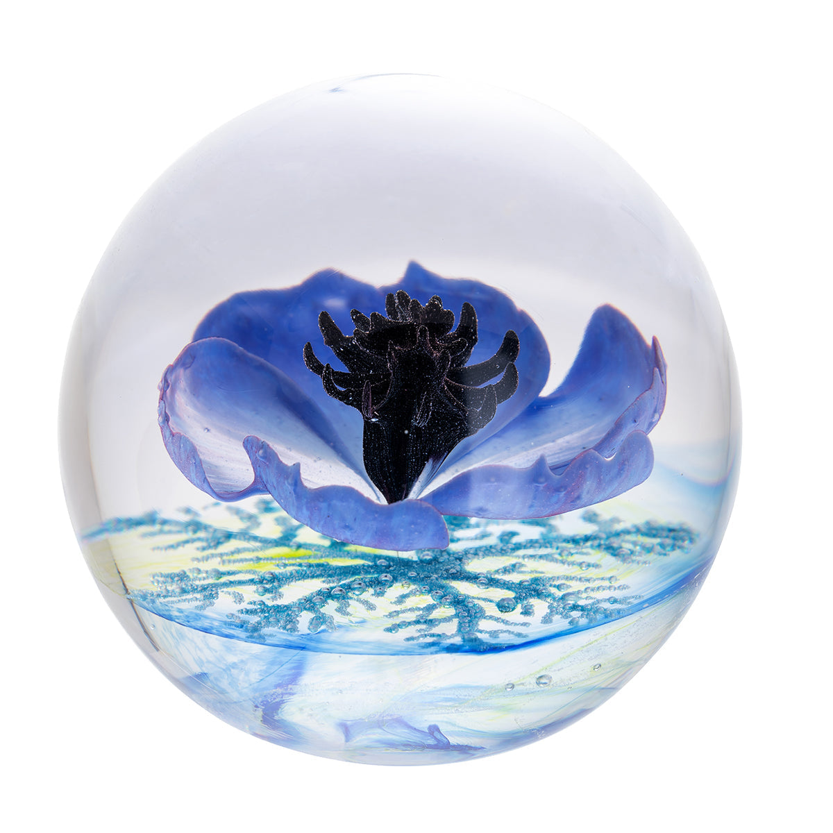 Caithness Galilee Blue