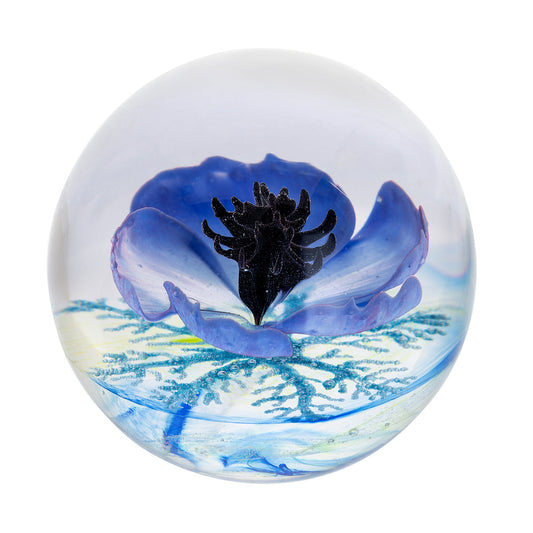 Caithness Galilee Blue