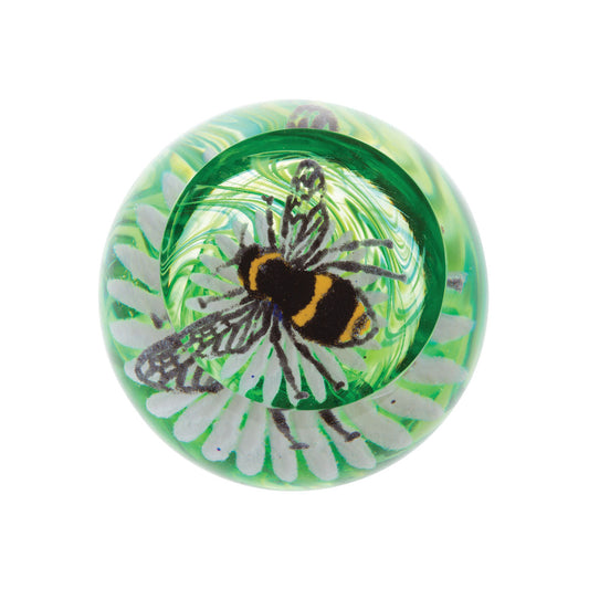 Caithness Glass Bee on a Flower Paperweight