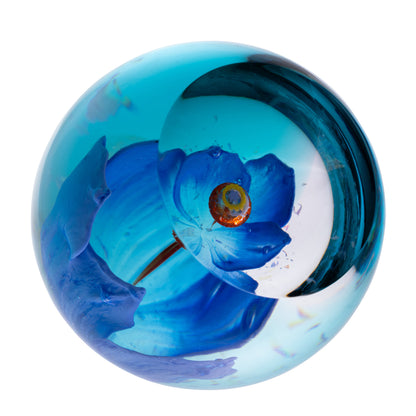 Caithness Glass Royal Botanical Garden Large Blue Poppy - Meconopsis