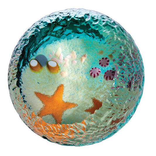 Caithness Seabed Starfish