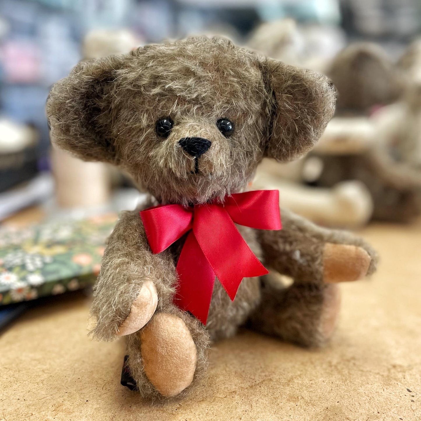 Canterbury Bears Ralph