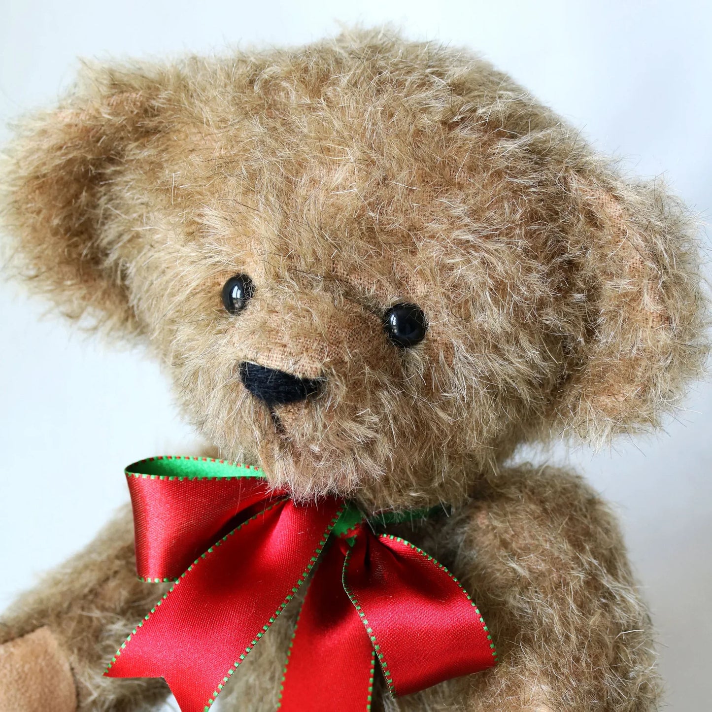 Canterbury Bears Ralph