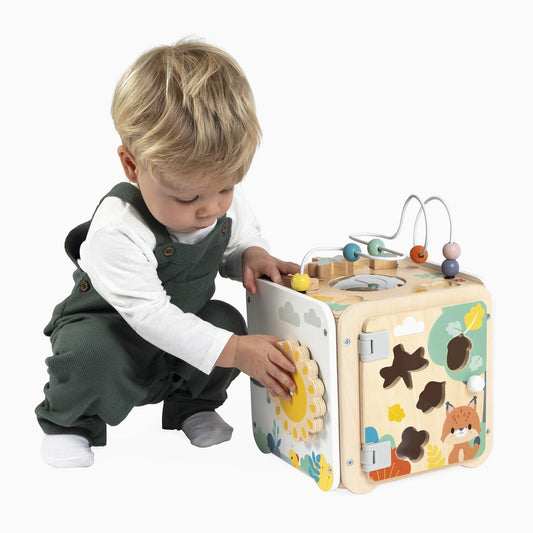Janod Multi-Activity Cube - Pure