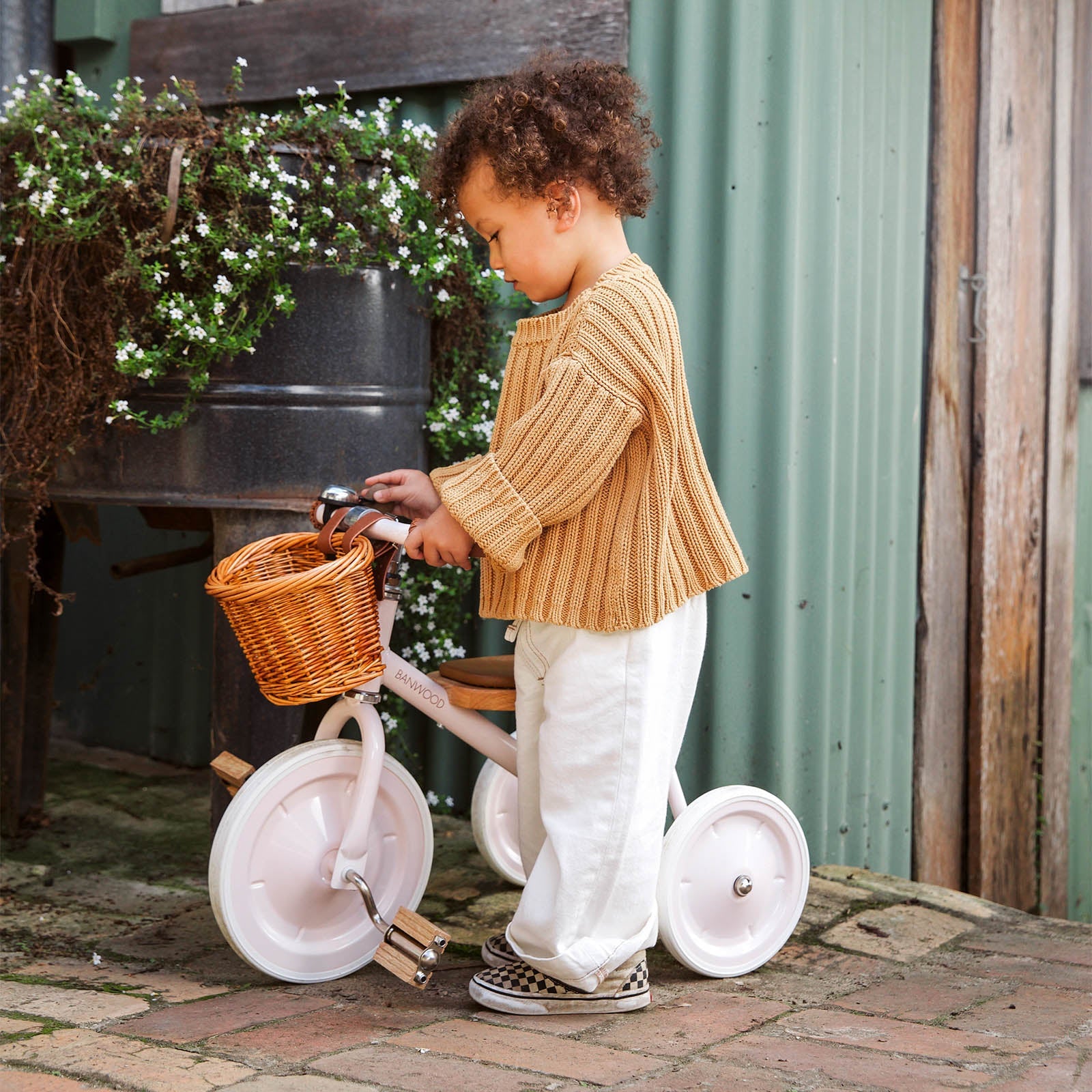 Banwood Trike