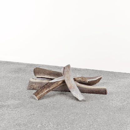 Primal Split Antlers