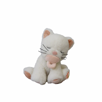 Binky Kitten Kiki