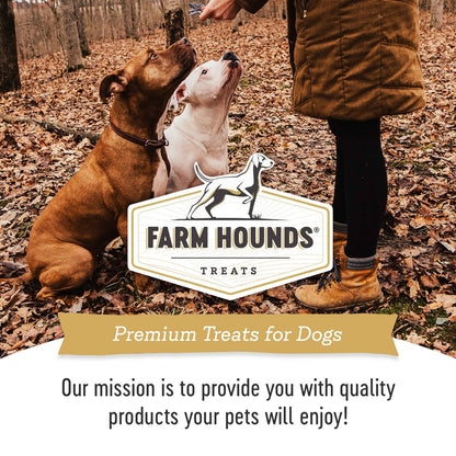 Farm Hounds - Chicken Gizzard Trainer - All-Natural Dog Treats - 4oz