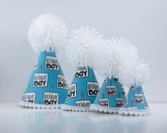 Pup Party Hats - Birthday Boy Black Ink Party Hat