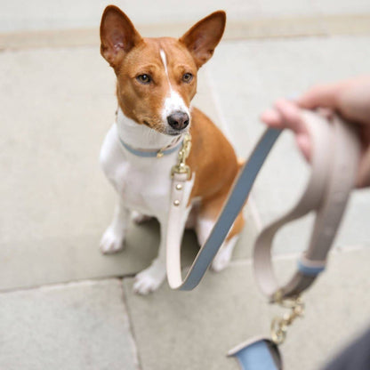 Nina Woof - Leash 4ft - Vegan Leather - Cupertino