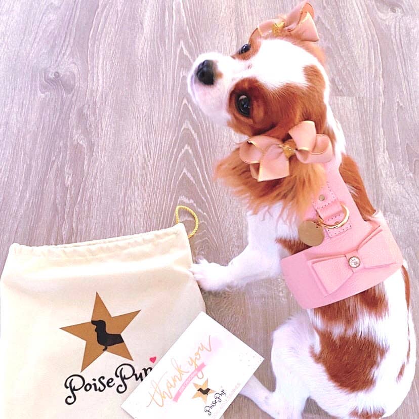 PoisePup - HARNESS - BELLA ROSE