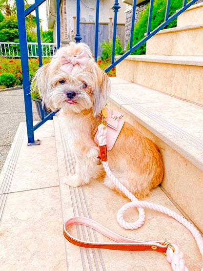 PoisePup - HARNESS - BELLA ROSE
