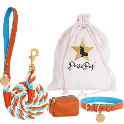 PoisePup - LEASH - VIBRANT SUNSET