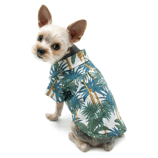 Dogo Pet - Tropical Leaf Shirt