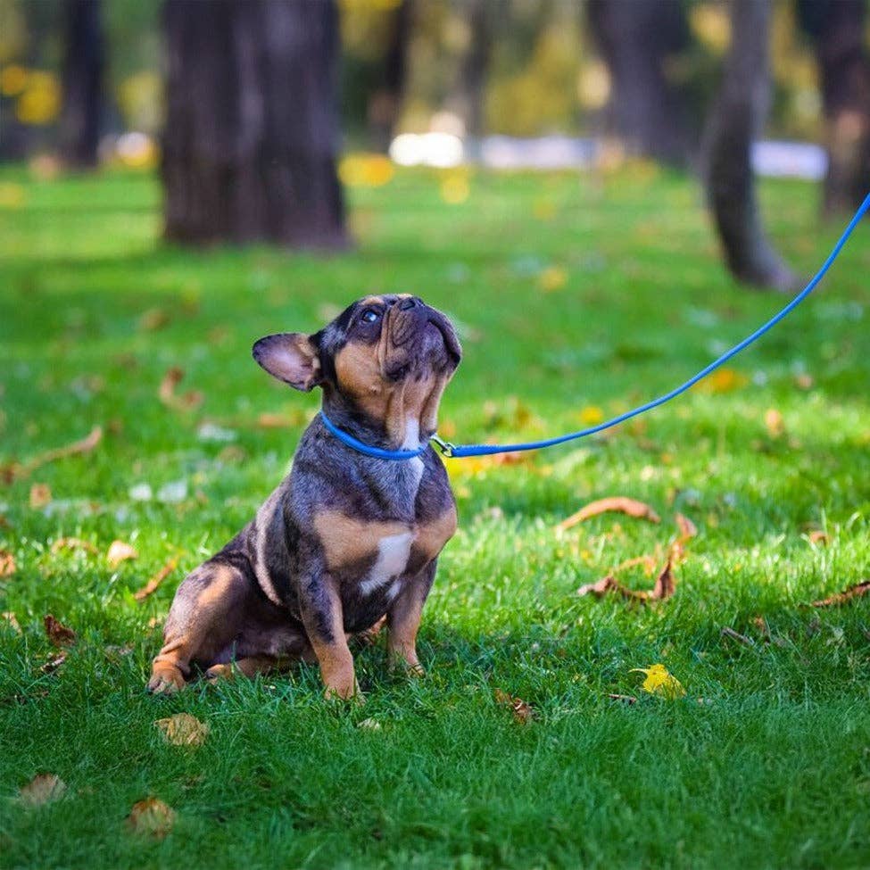 Dogline - Soft Leather Round Lead