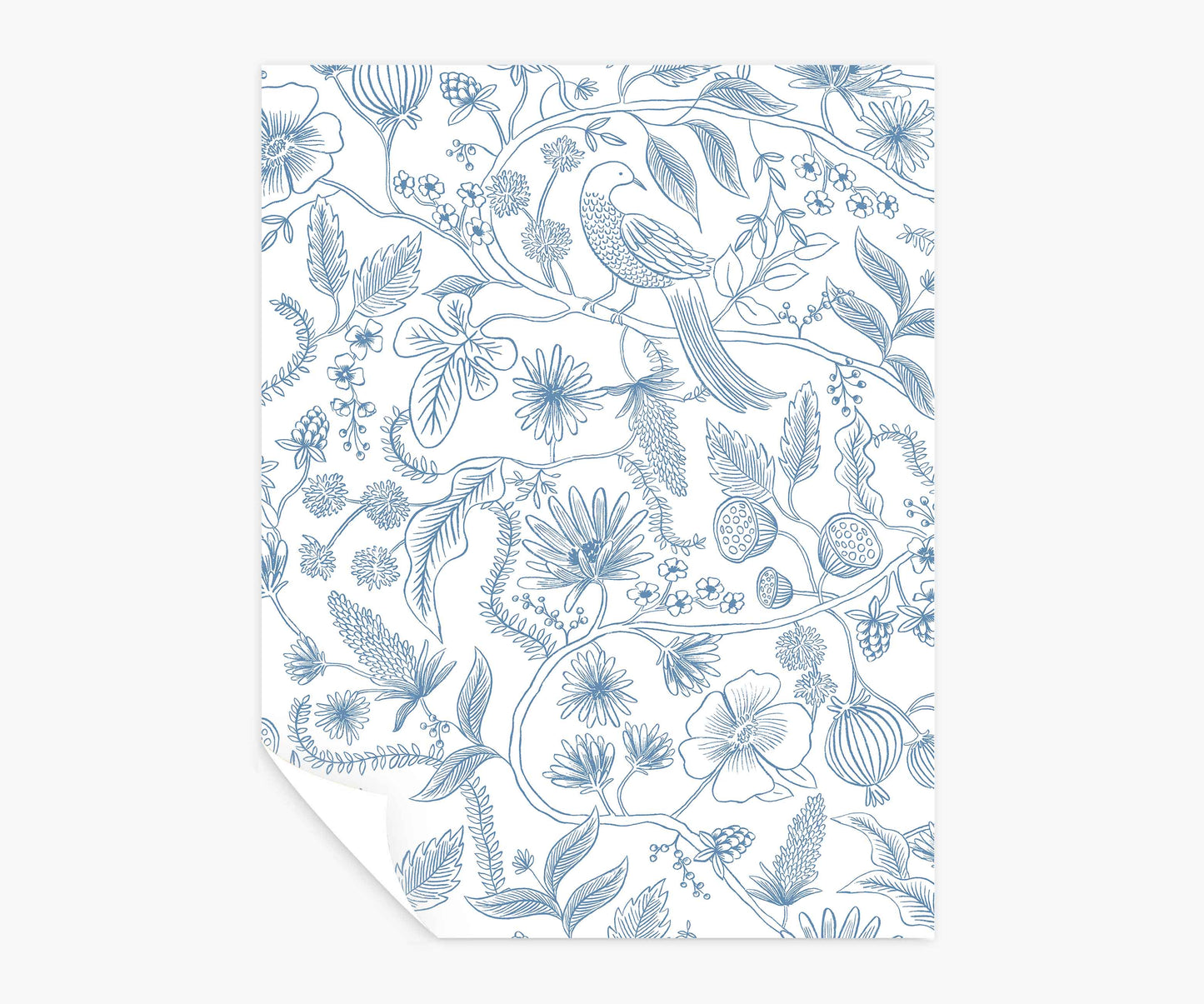 Aviary Peel & Stick Wallpaper Sample - Blue & Cream