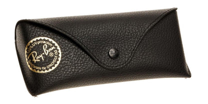 RAYBAN - NEW WAYFARER | Black on Beige w/ Green