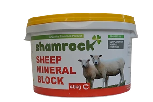 Shamrock Sheep Mineral Block